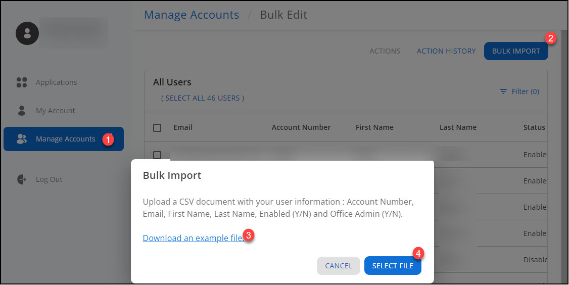 Image showing the bulk import process.